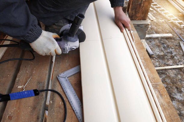 Best Insulated Siding Installation  in Freeland, MI
